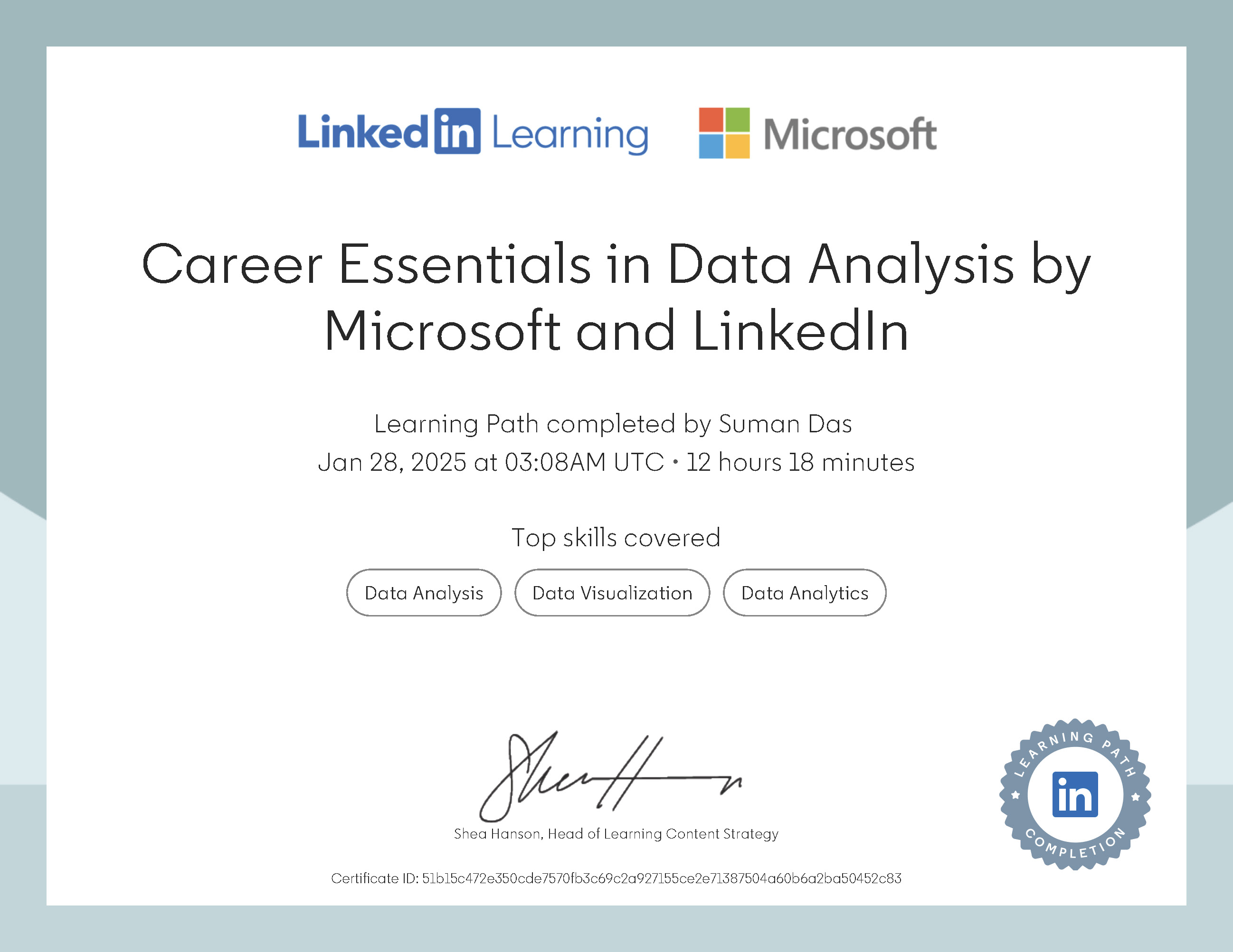 Career Essentials in Data Analysis